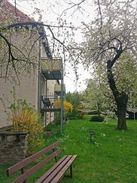 Blick auf den Garten.jpg - 