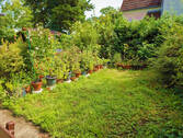 Garten - 
