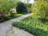 Vorgarten - 
