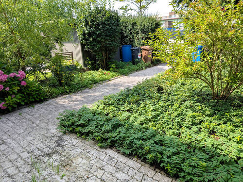 Vorgarten - 