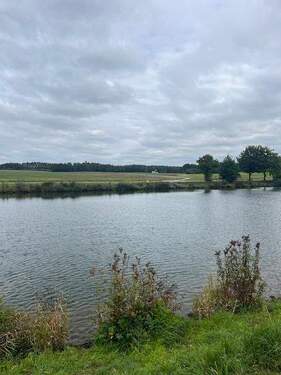 naturnaher Europakanal Bild 2 - 