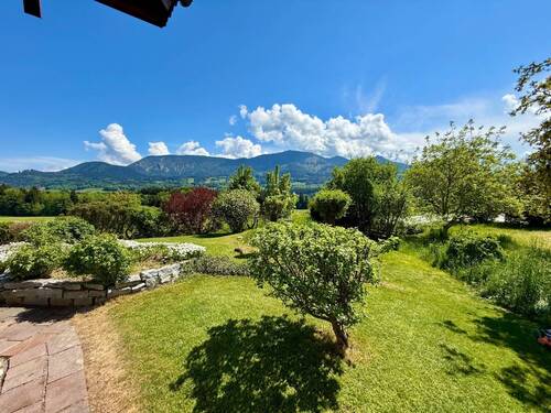 Ausblick Garten - 