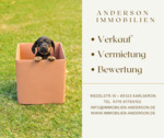 Bild Immo Anderson Hund Karton - 