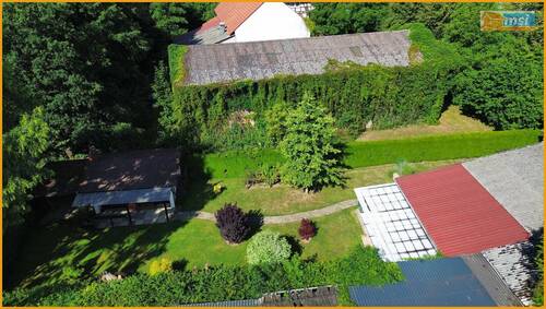 Blick über den Garten - 