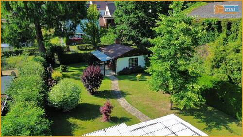 Blick in den Garten - 
