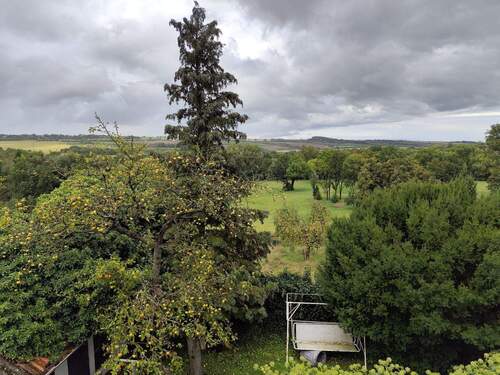 Sicht in den Tiefurter Park - 