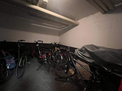 Geräumiger Fahrradkeller mit Stauraum und Schutz vor Witterung - 