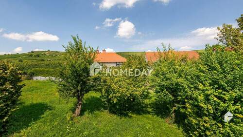 Ausblick - 