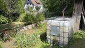 Gemüsegarten - 