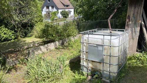 Gemüsegarten - 