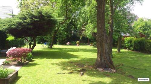 Blick in den Garten im Sommer - 