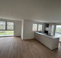 Erstbezug in Kupprichhausen: Moderne, helle 3-Zimmer-Wohnung mit Balkon und Ausblick ins Grüne - Boxberg