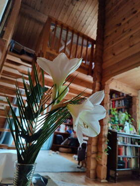 Wohnzimmer - 