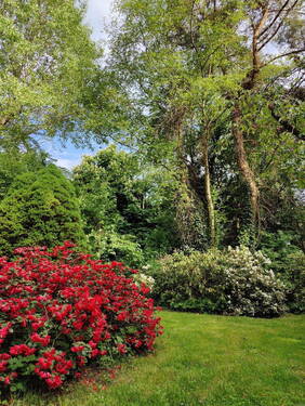 Garten Front - 