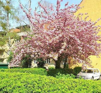 PHOTO-2024-04-08-15-27-08 (2).jpg - 