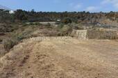 Grundstück mit Weitblick - Ihr landwirtschaftliches Grundstück auf Teneriffa - Ebene Finca mit Wasser und Strom in La Guancha