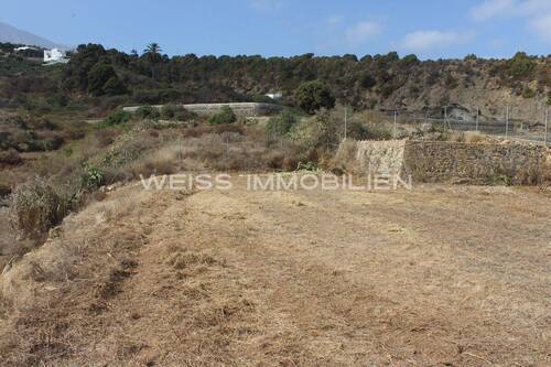 Grundstück mit Weitblick - Ihr landwirtschaftliches Grundstück auf Teneriffa - Ebene Finca mit Wasser und Strom in La Guancha