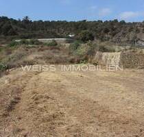 Ihr landwirtschaftliches Grundstück auf Teneriffa - Ebene Finca mit Wasser und Strom in La Guancha