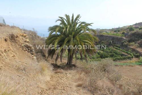 Grundstück mit Weitblick - Grundstück zum Kaufen in Teneriffa