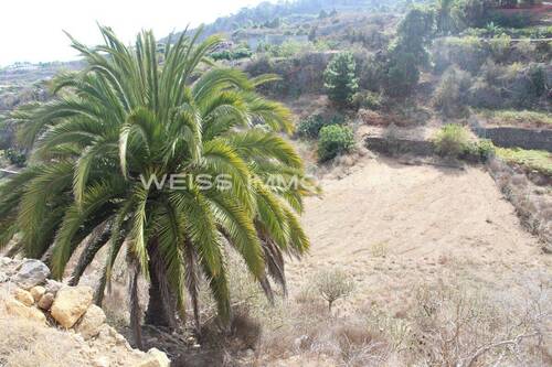 Grundstück mit Weitblick - 