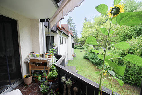 Balkon - 