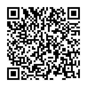 QR-Code - 