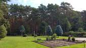 Garten & Wald 2 - 