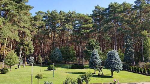Blick in den Garten & Wald - 