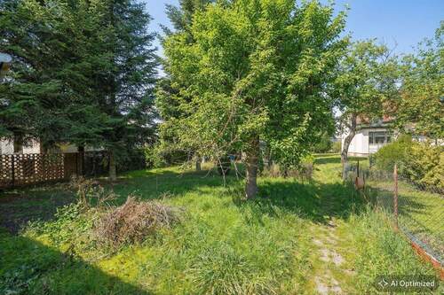 Blick in den Garten - 3 Zimmer Einfamilienhaus zum Kaufen in Schöneiche bei Berlin