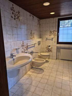 WhatsApp Image 2026-03-03 at 19.16.24(4).jpeg - 