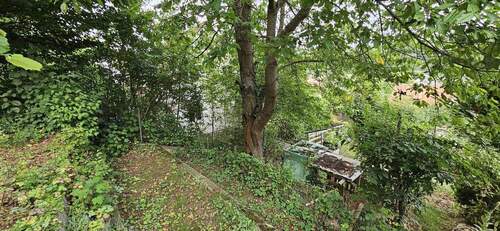 Garten 3 - 