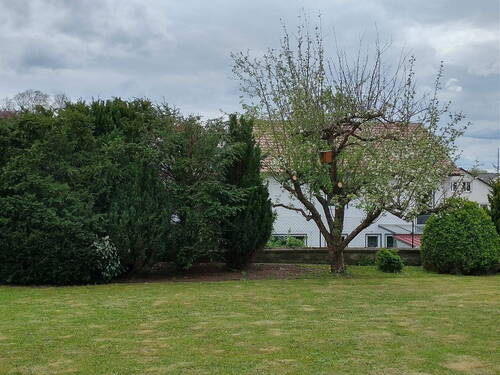 Garten - 