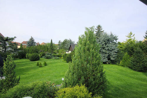 Blick vom Wintergarten in den Garten - 