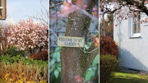 Gartenimpressionen - 