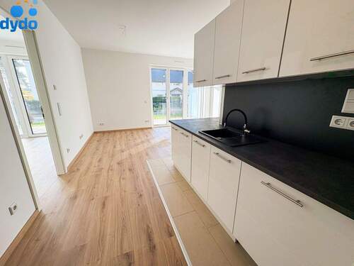 Blick in die Wohnung - 