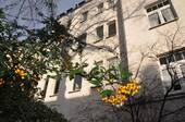 Rückseite - Büro in Aue zur Miete