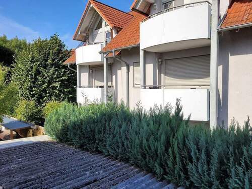 20250920_145347.jpg - 2 Zimmer Terrassenwohnung zum Kaufen in Heringen