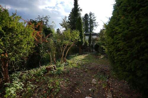 Garten - 4 Zimmer Einfamilienhaus in Berlin / Wannsee