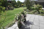 Terrasse - 