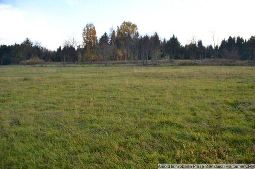 Ansicht West - Grundstück in Altenberg