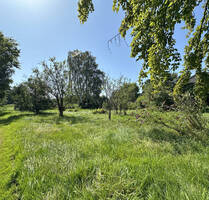 Baugrundstück - Natur & Elbe - 339.000,00&nbsp;EUR Kaufpreis, ca.&nbsp; 0,00&nbsp;m&sup2; in Hamburg (PLZ: 21079) Neuland