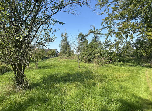 Grundstück - Grundstück in Hamburg zum Kaufen