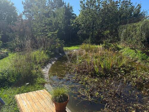 Gartenteich - 