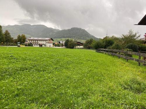 Blick auf das Grundstück - Ein Traumgrundstück für Ihr Einfamilienhaus