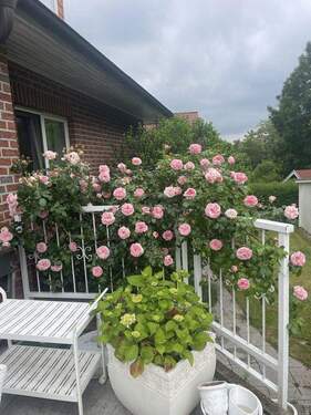 Gartenblick_von_der_Terasse - 