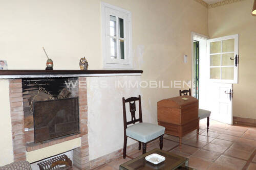 Kamin im Salon des Gästeappartements - 