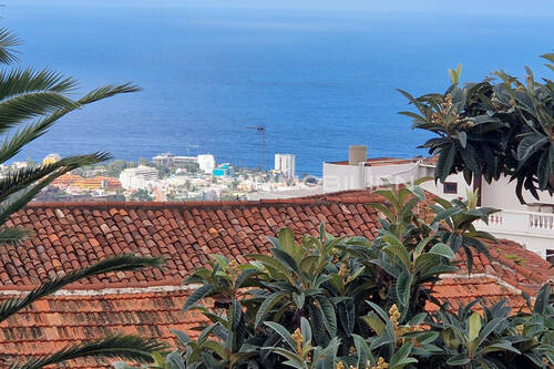 Sea view of Puerto de la Cruz - 