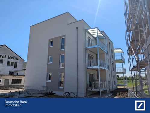 Bereits im ersten Sommer wunderbar grün!! - 