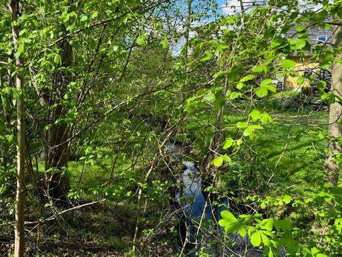 Rosenhainer Wasser (1) - 