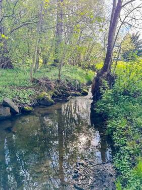 Rosenhainer Wasser (3) - 